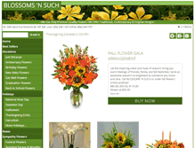 Tablet Screenshot of blossomsnsuch.net